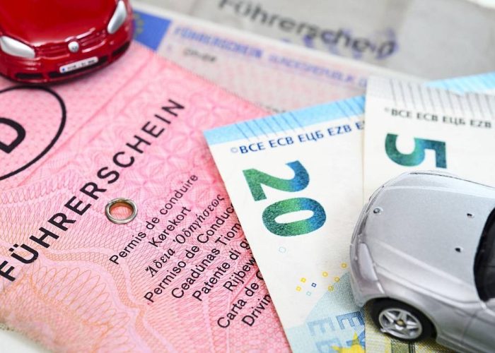 buy fake novelty german driving license (licence)